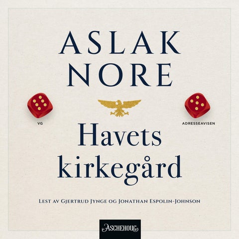 Havets kirkegård - roman