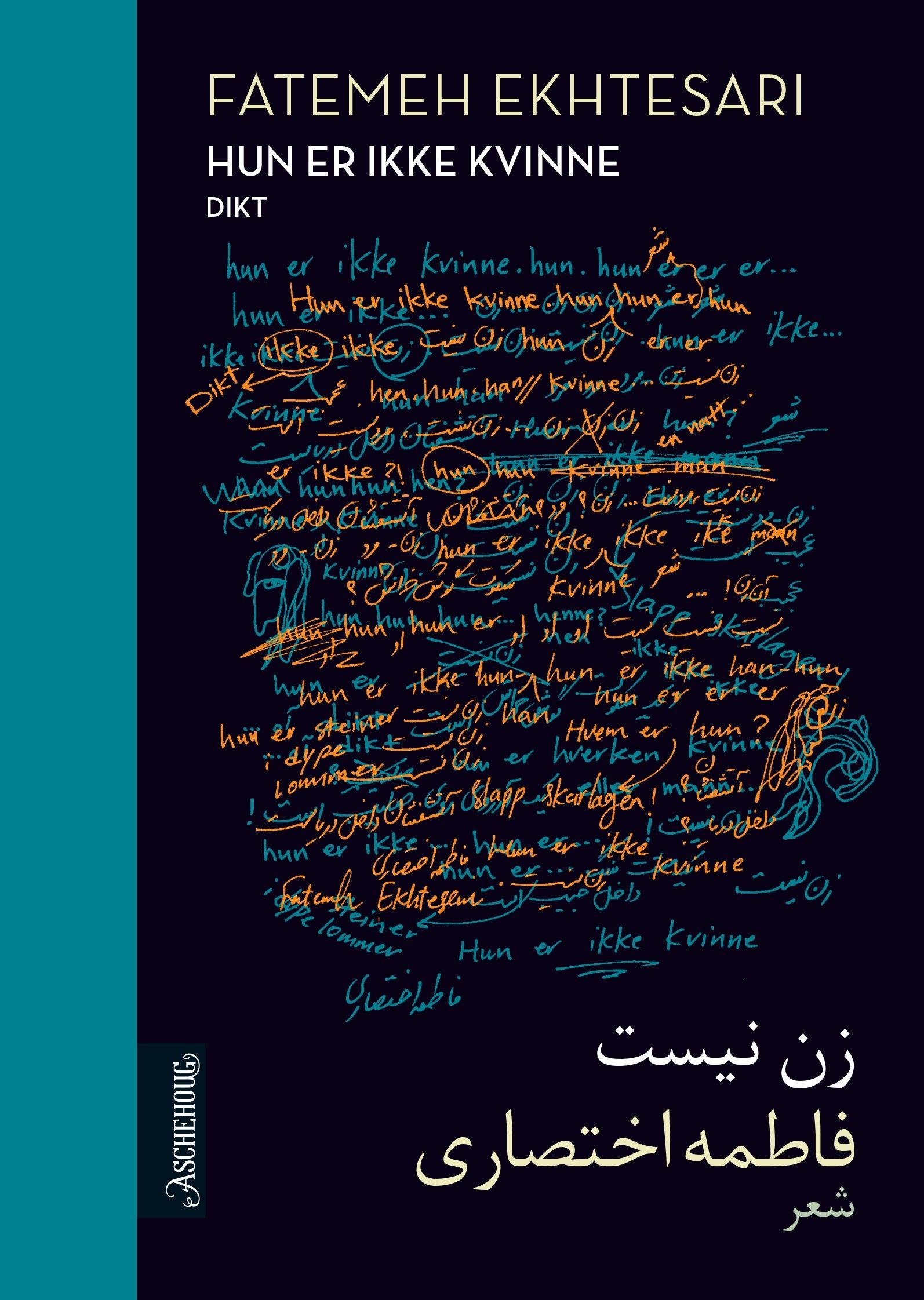 Hun er ikke kvinne - dikt