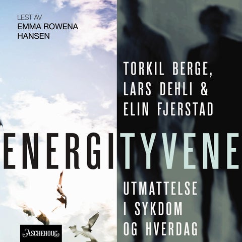 Energityvene - utmattelse i sykdom og hverdag