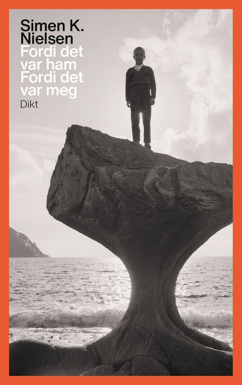 Fordi det var ham fordi det var meg - dikt