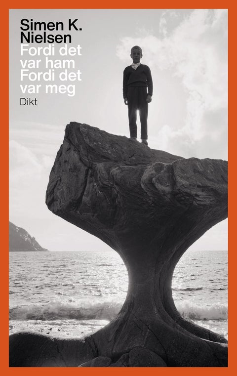 Fordi det var ham fordi det var meg - dikt