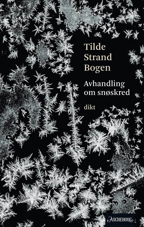 Avhandling om snøskred - lyrikk