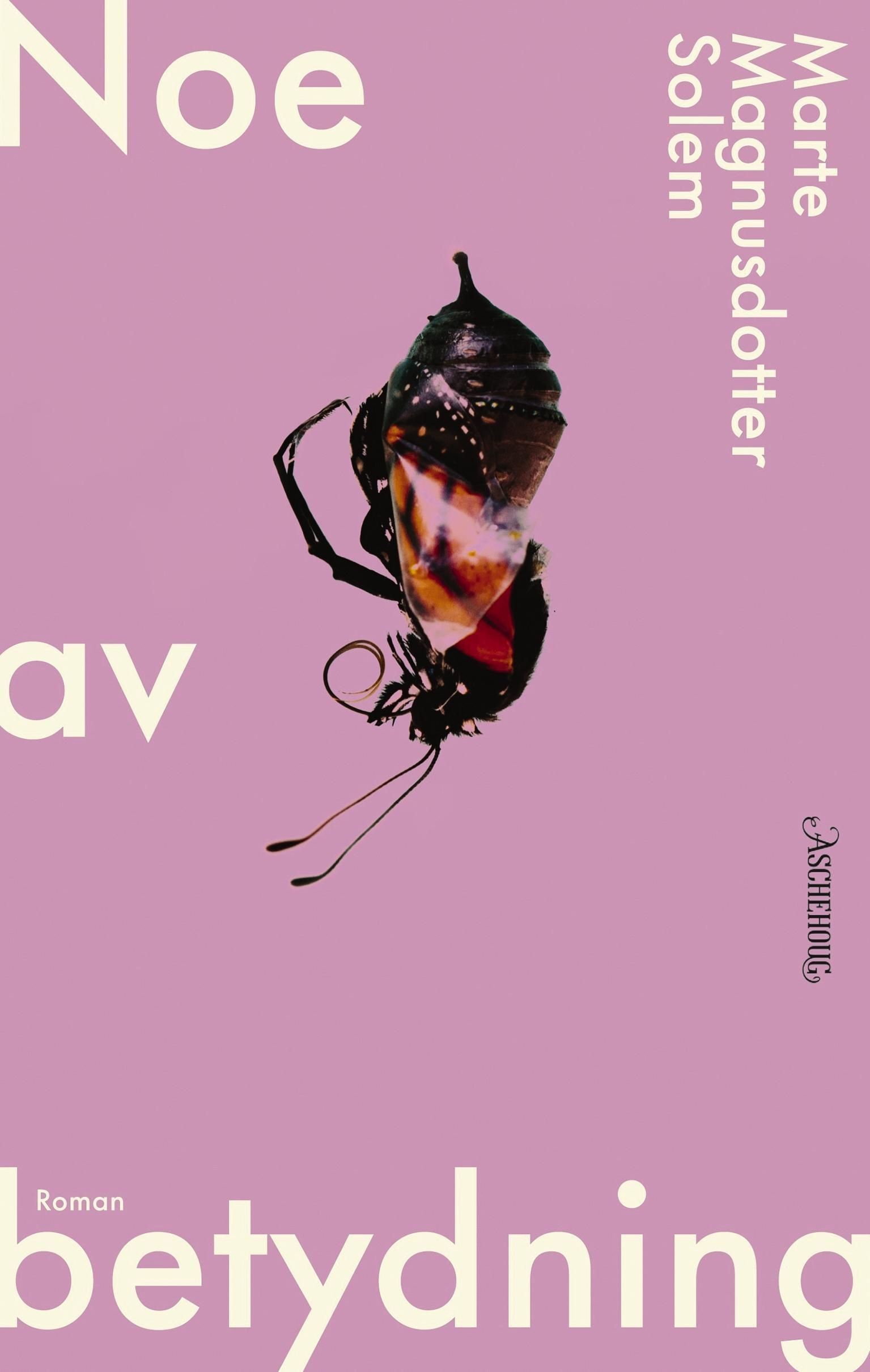 Noe av betydning - roman