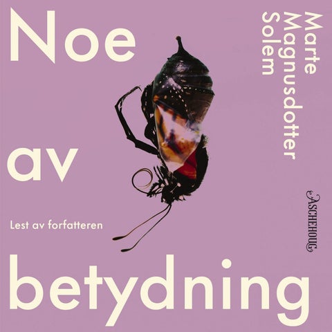 Noe av betydning - roman