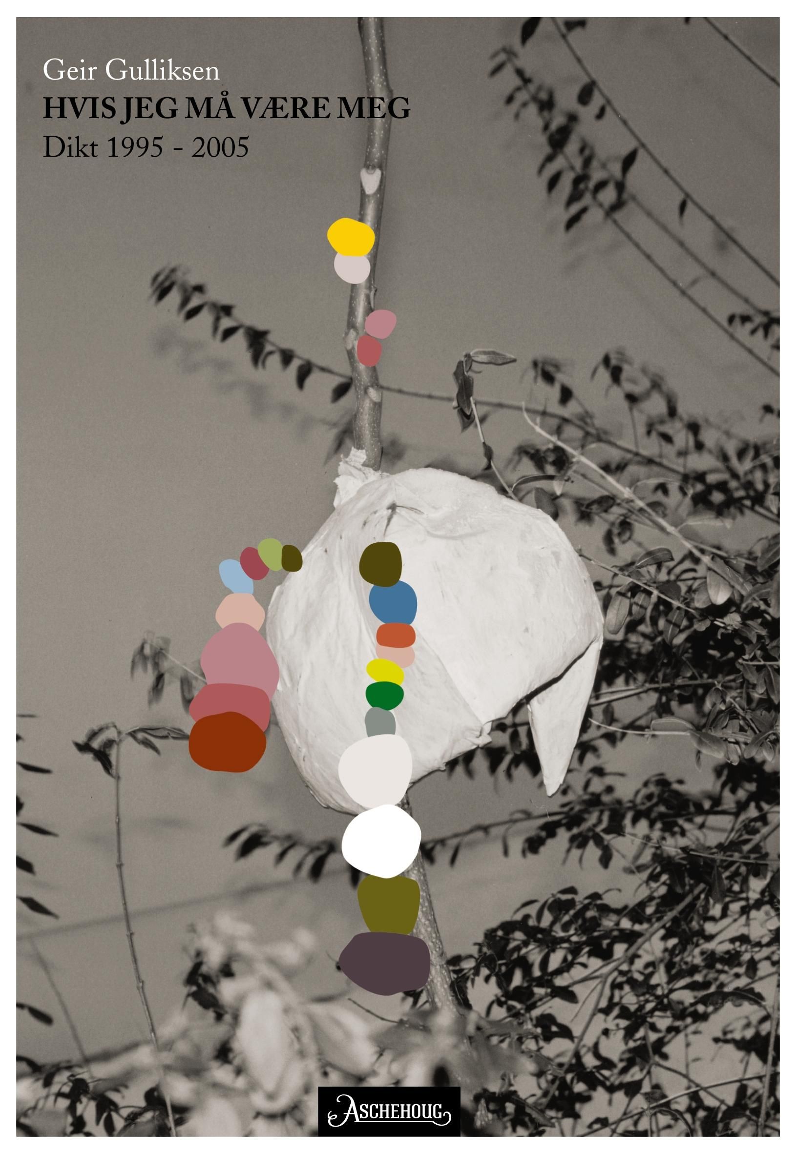 Hvis jeg må være meg