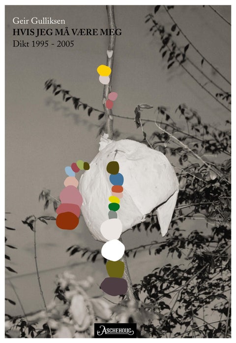 Hvis jeg må være meg - dikt 1995-2005