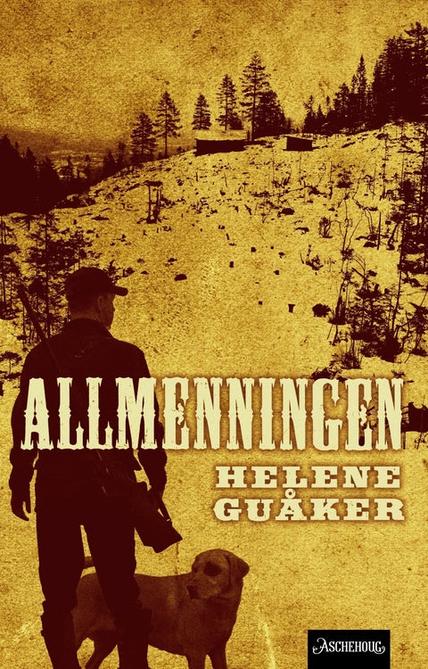 Allmenningen - roman