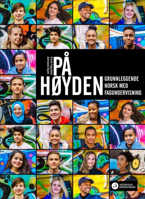 På høyden - grunnleggende norsk med fagundervisning