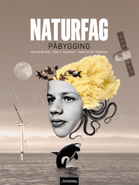 Naturfag påbygging vg3 - Lærebok : naturfag for videregående