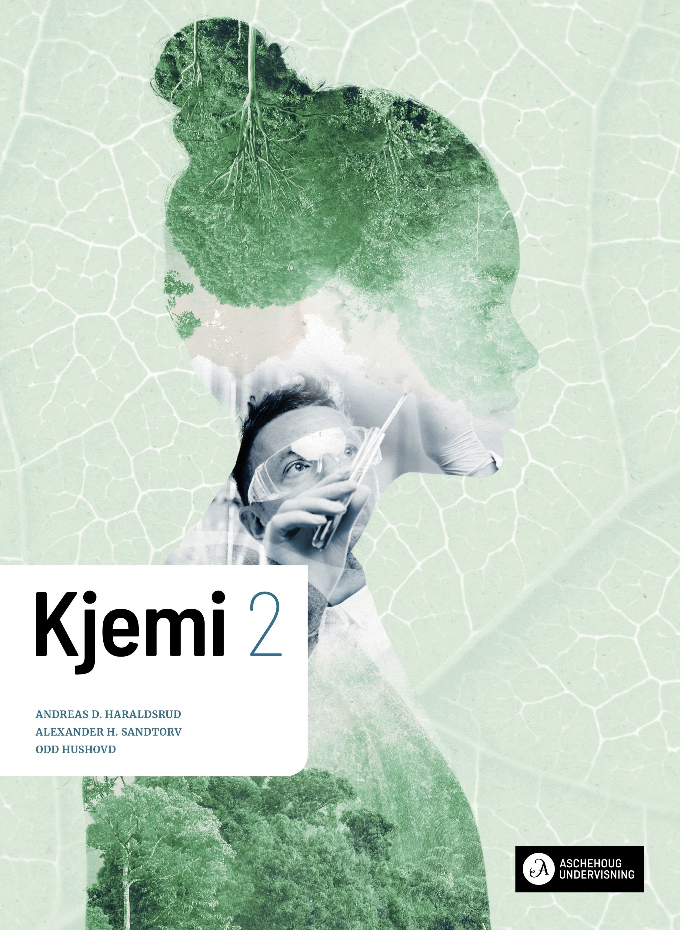 Kjemi 2 vg3 Unibok - Grunnbok : programfaget kjemi for ST