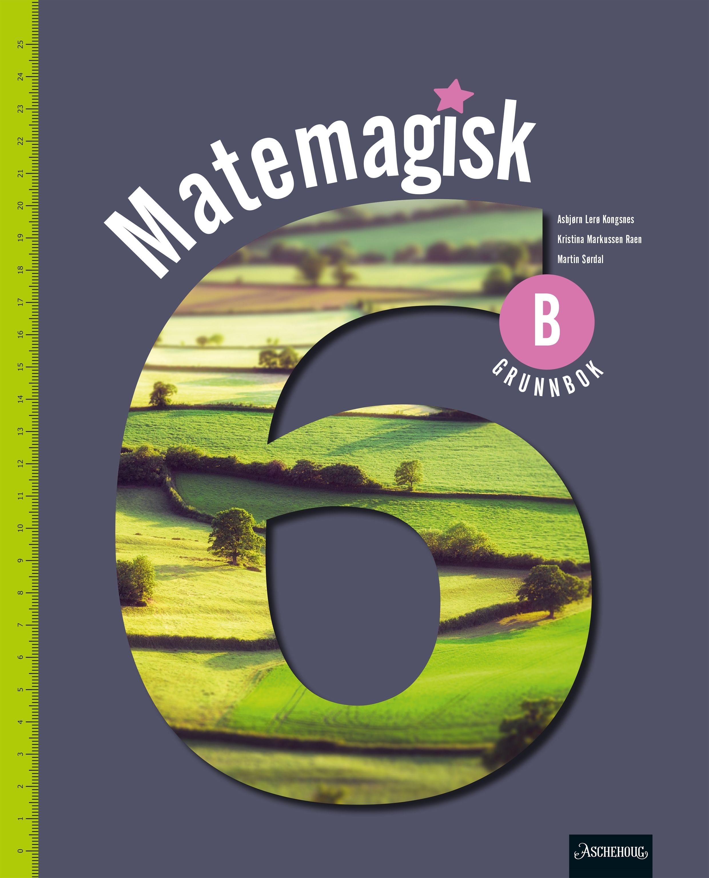 Matemagisk 6B Unibok - Grunnbok : matematikk for barnetrinnet