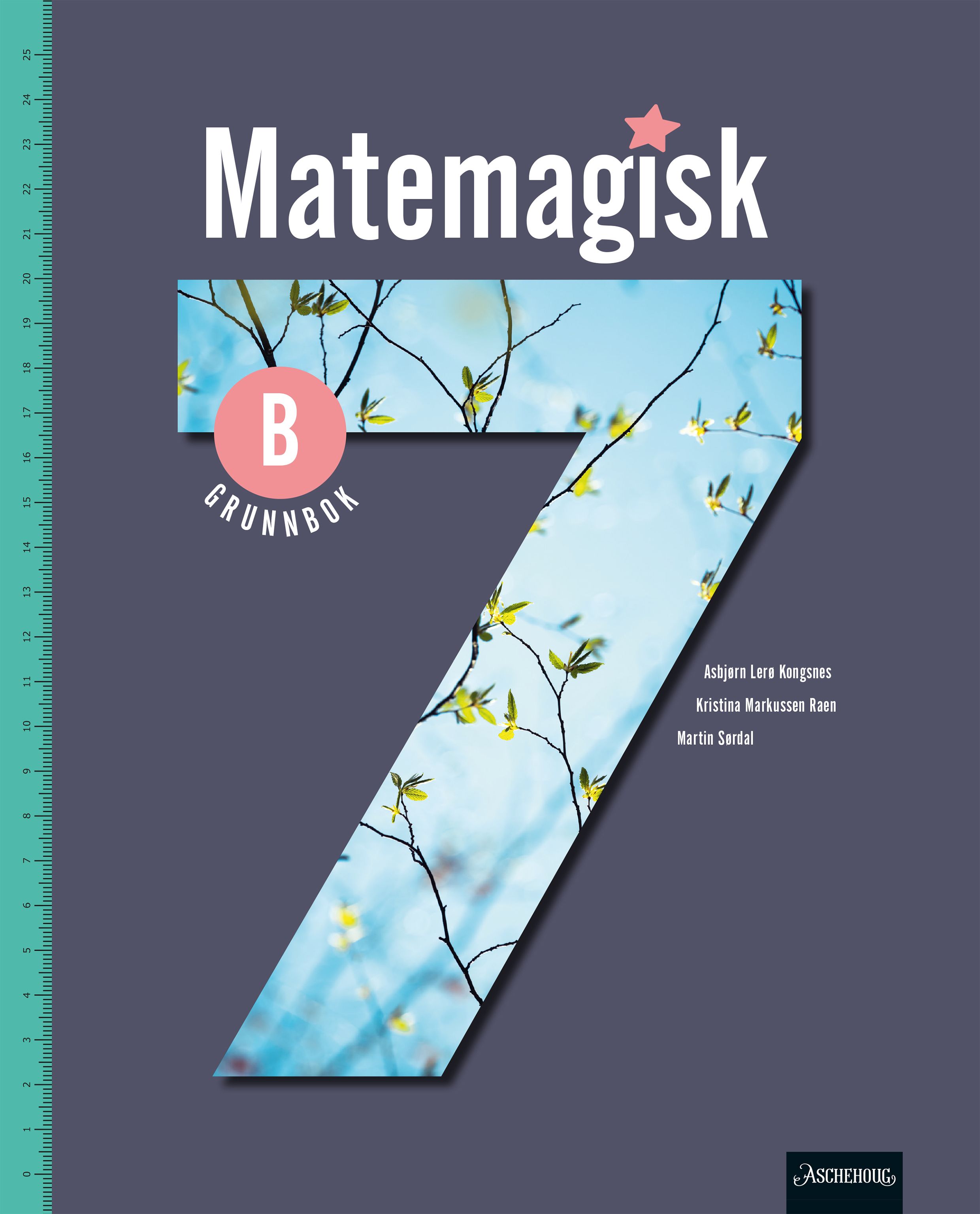 Matemagisk 7B Unibok - Grunnbok : matematikk for barnetrinnet