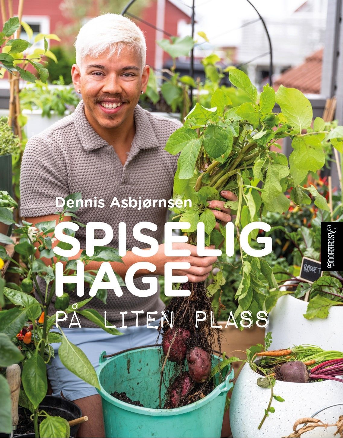 Spiselig hage - på liten plass