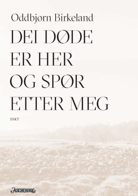 Dei døde er her og spør etter meg - dikt