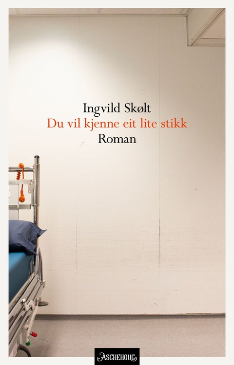 Du vil kjenne eit lite stikk - roman