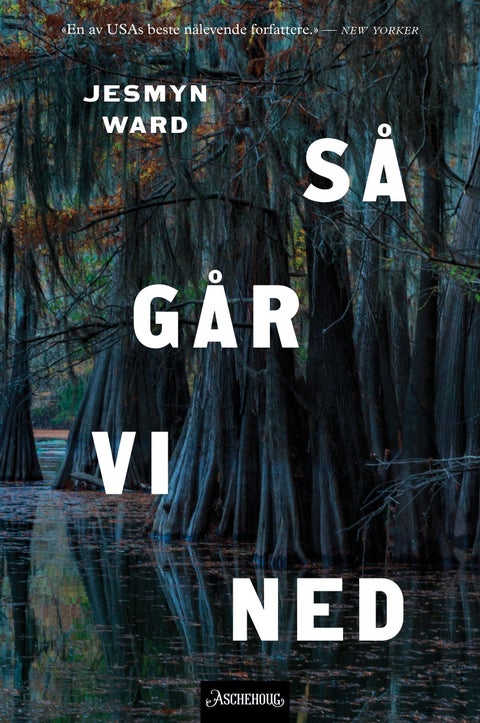 Så går vi ned - roman