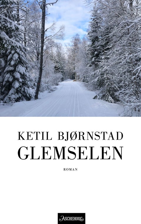 Glemselen - roman