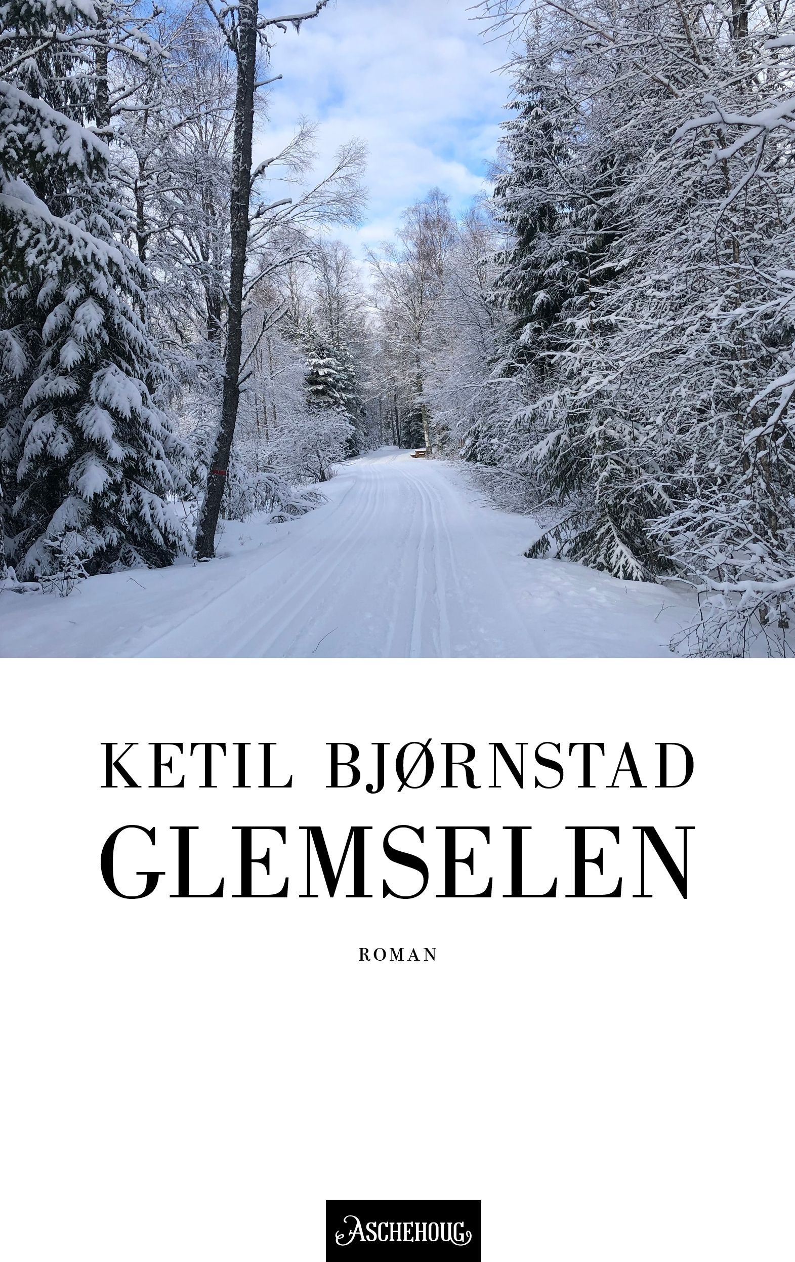 Glemselen - roman