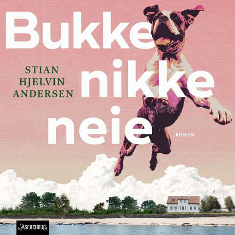 Bukke nikke neie
