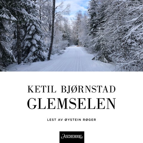 Glemselen - roman