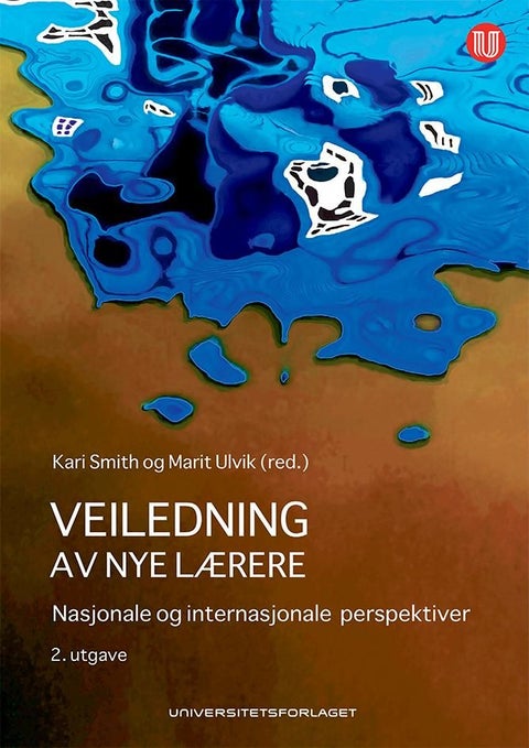 Veiledning av nye lærere - nasjonale og internasjonale perspektiver