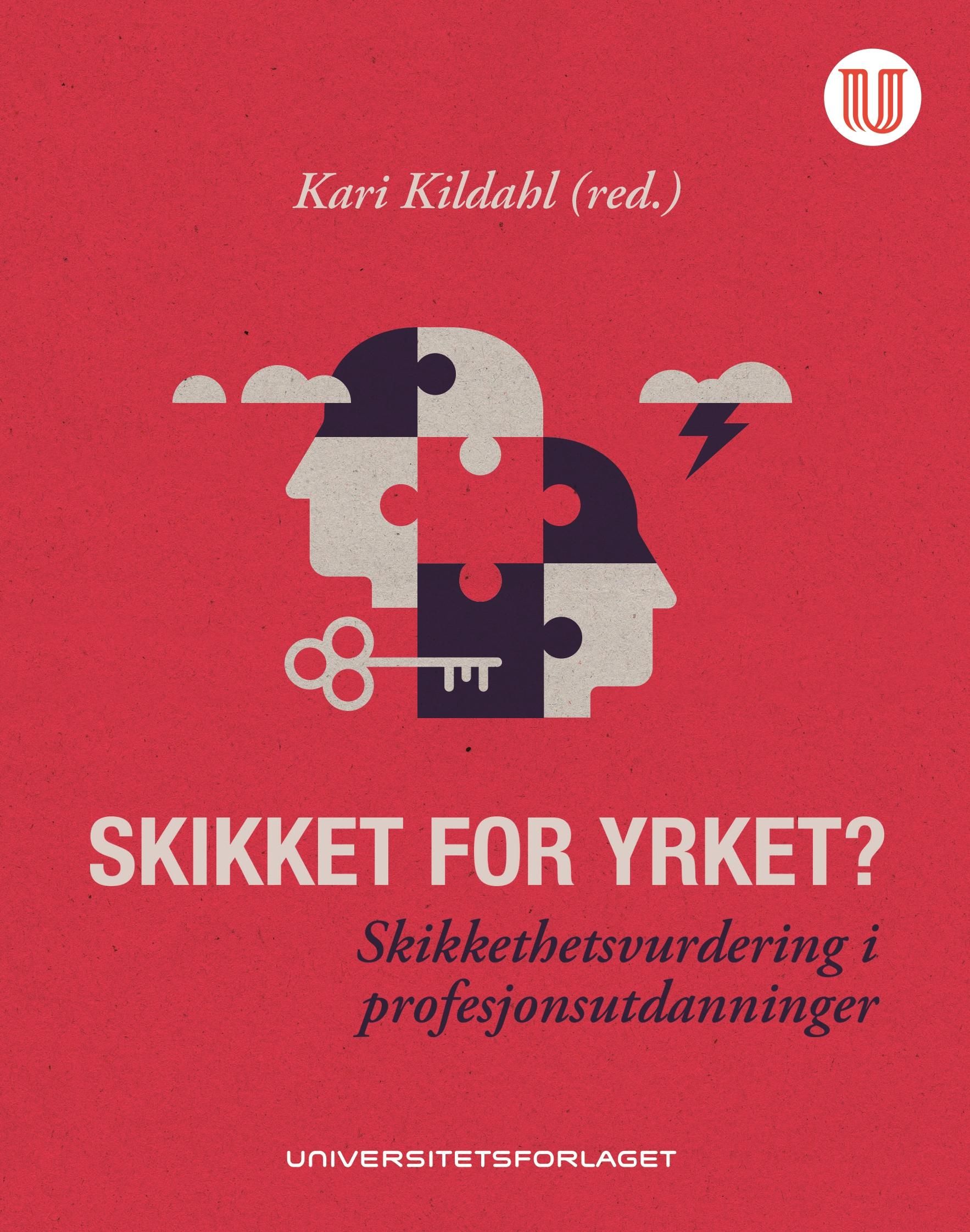 Skikket for yrket? - skikkethetsvurdering i profesjonsutdanninger