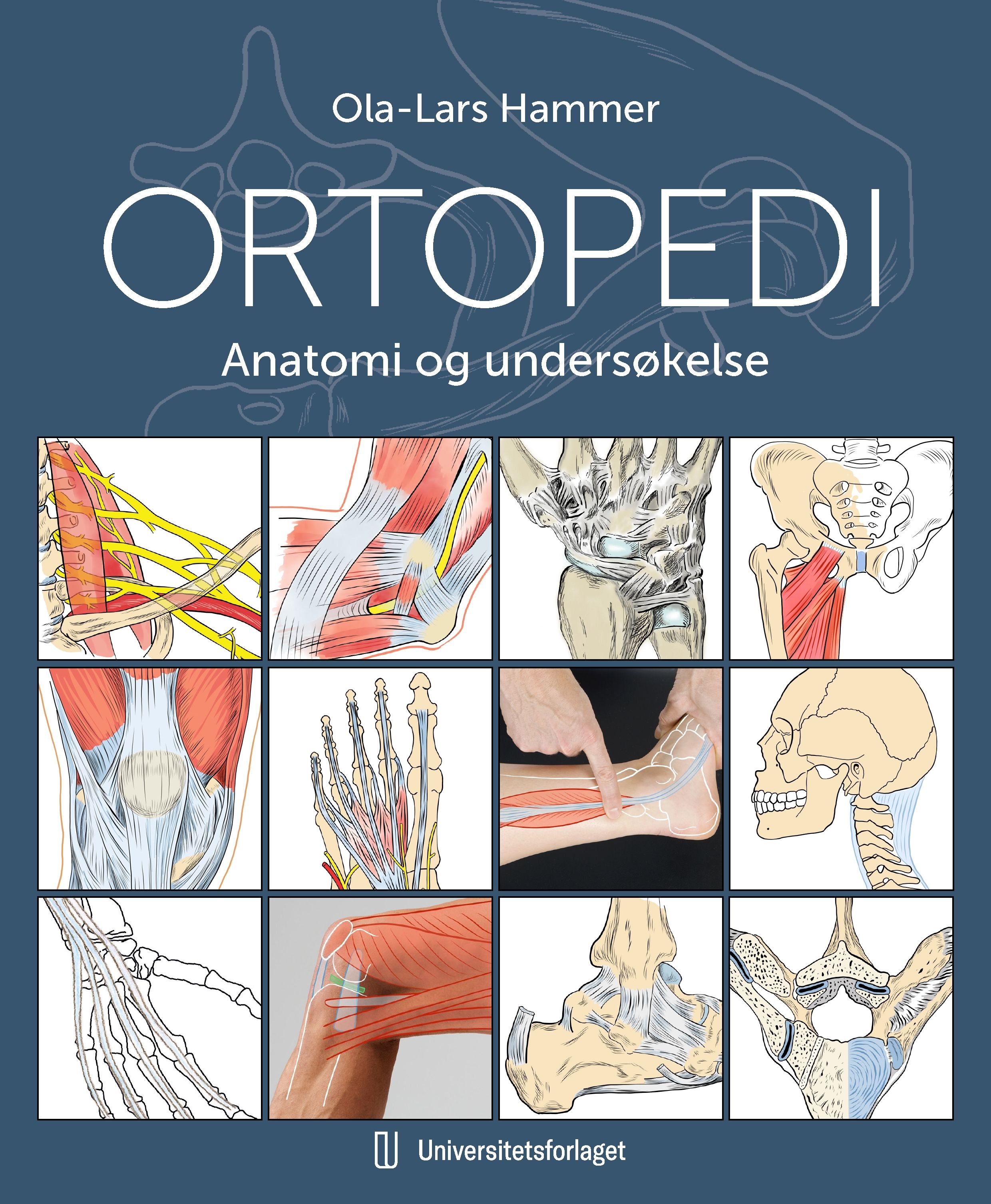 Ortopedi - anatomi og undersøkelse