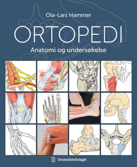 Ortopedi - anatomi og undersøkelse