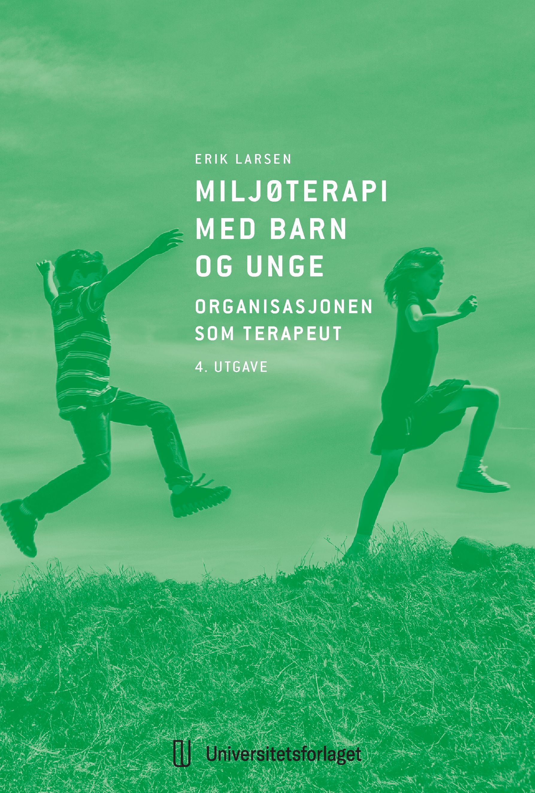 Miljøterapi med barn og unge - organisasjonen som terapeut