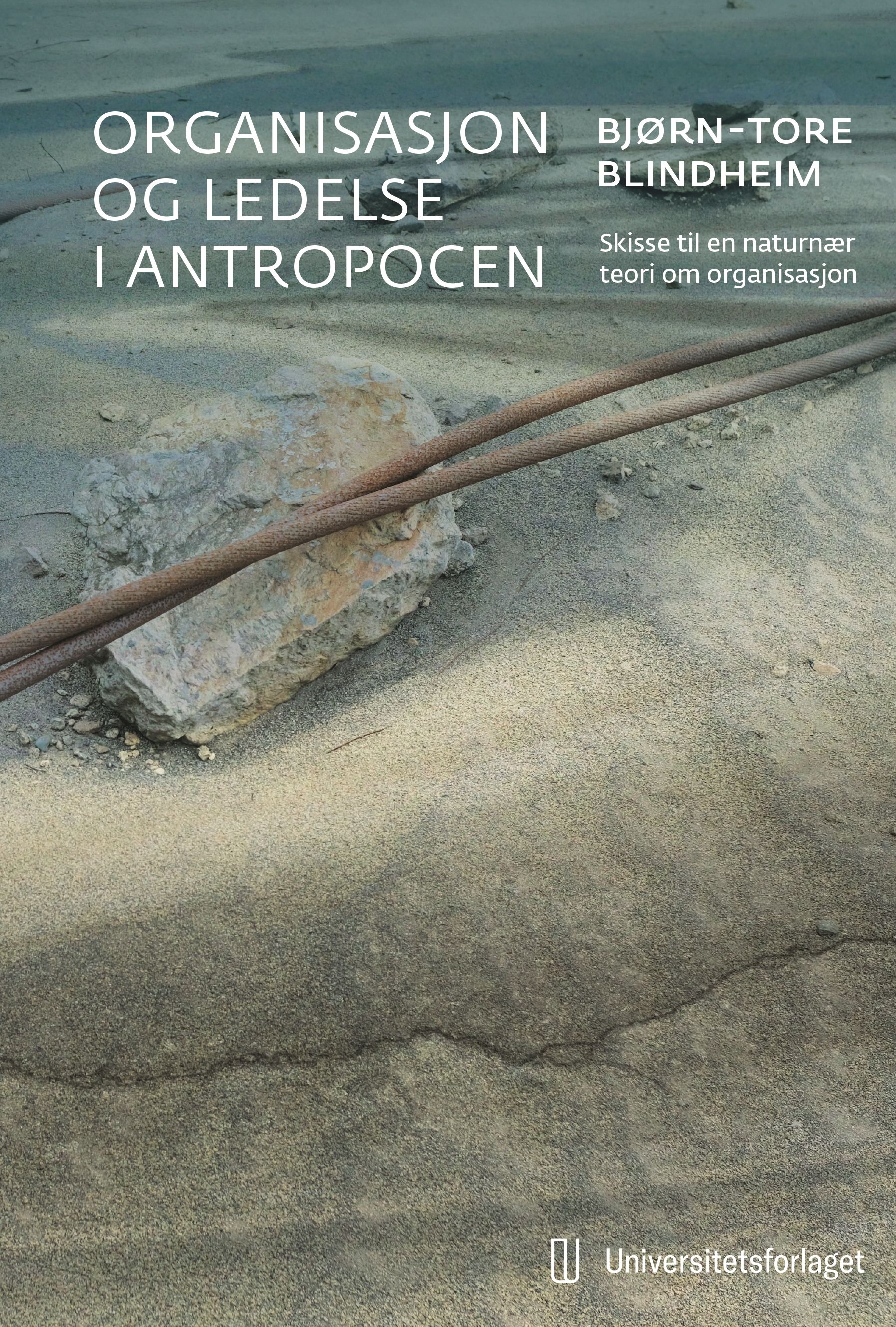 Organisasjon og ledelse i antropocen - skisse til en naturnær teori om organisasjon