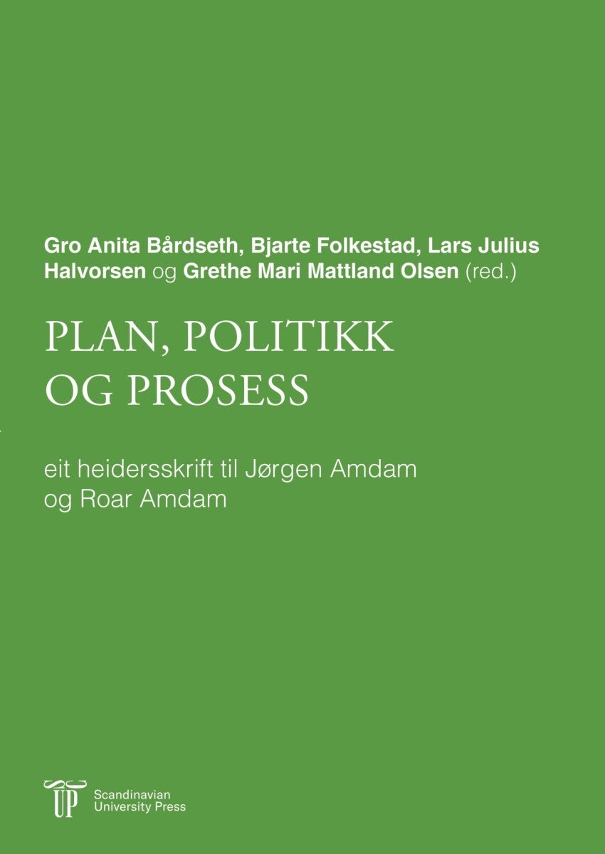 Plan, politikk og prosess