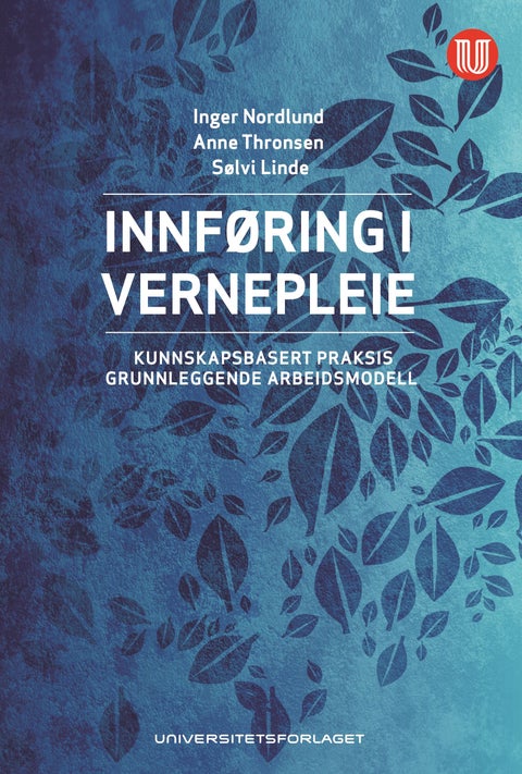 Innføring i vernepleie - kunnskapsbasert praksis - grunnleggende arbeidsmodell
