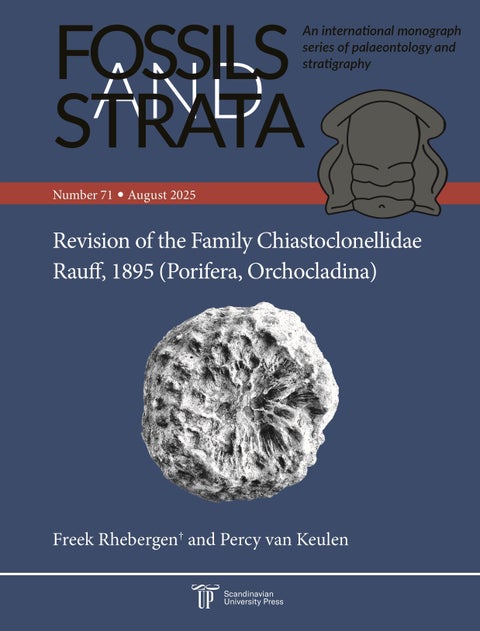 Revision of the Family Chiastoclonelidae Rauff, 1895 (Porifera, Orchocladina)
