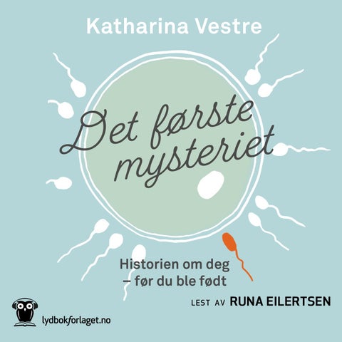 Det første mysteriet - historien om deg - før du ble født
