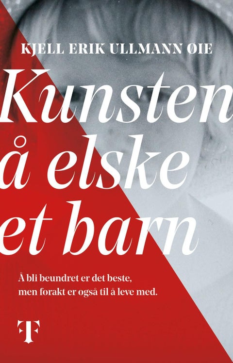 Kunsten å elske et barn - roman
