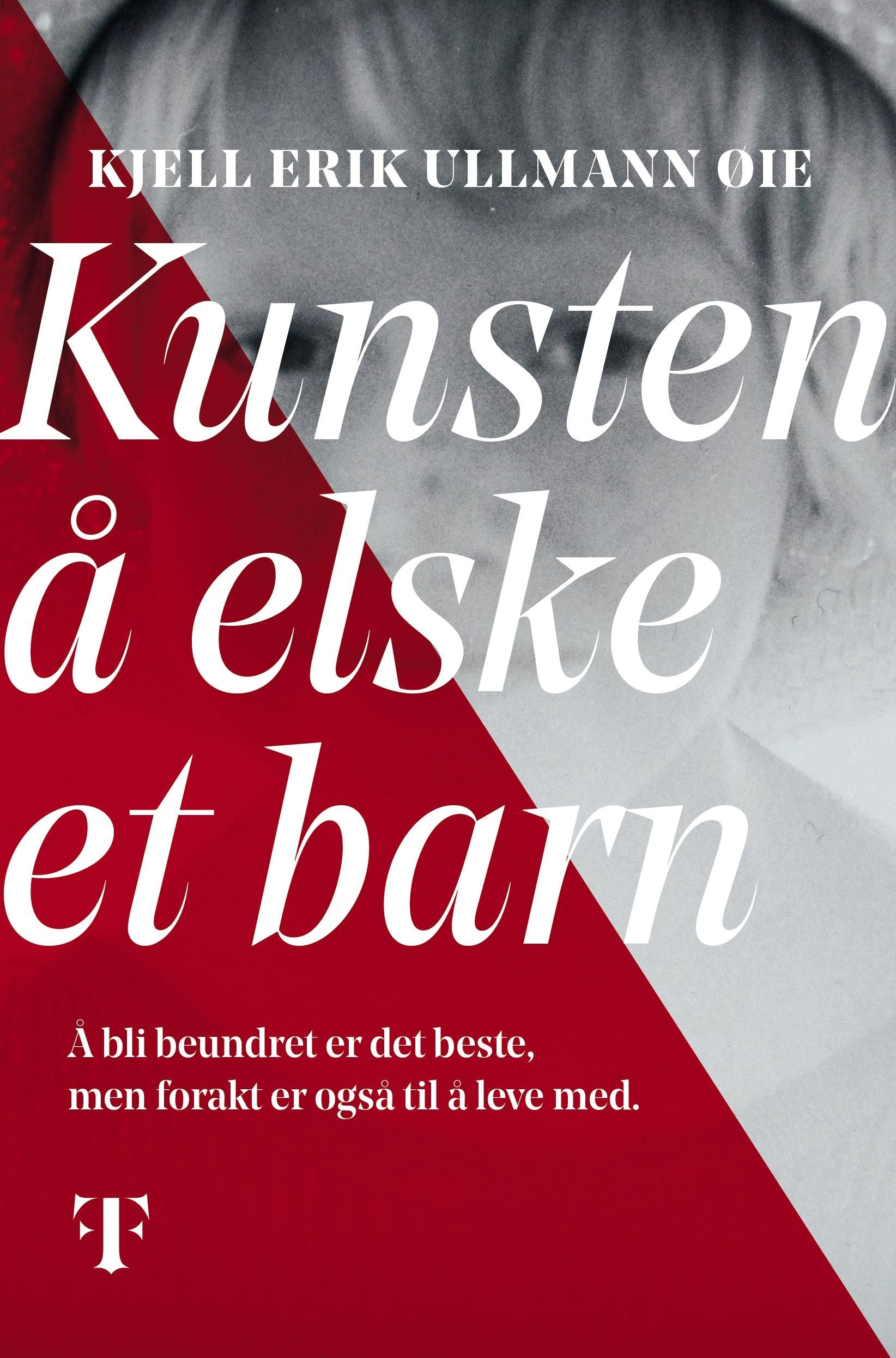 Kunsten å elske et barn - roman
