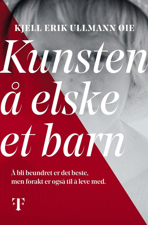 Kunsten å elske et barn - roman