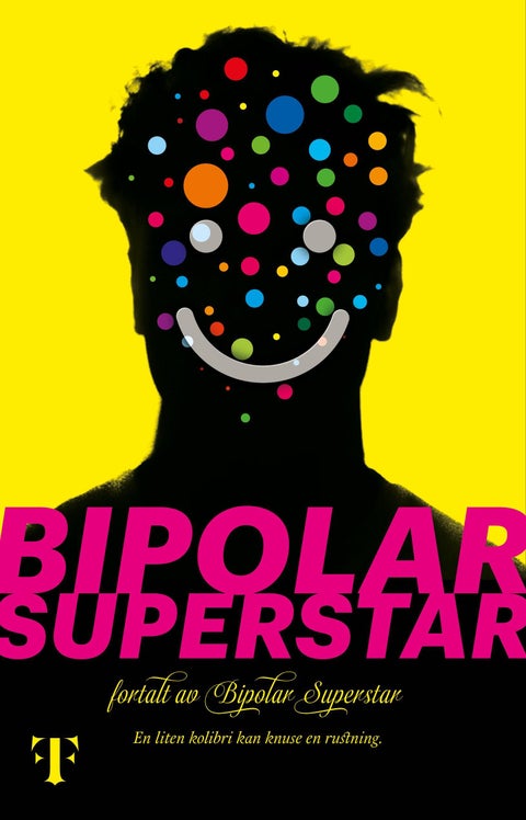 Bipolar Superstar - roman