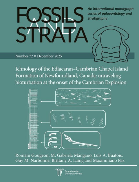 Ichnology of the Ediacaran–Cambrian Chapel island formation of Newfoundland, Canada - unraveling bioturbation at the onset of the Cambrian explosion