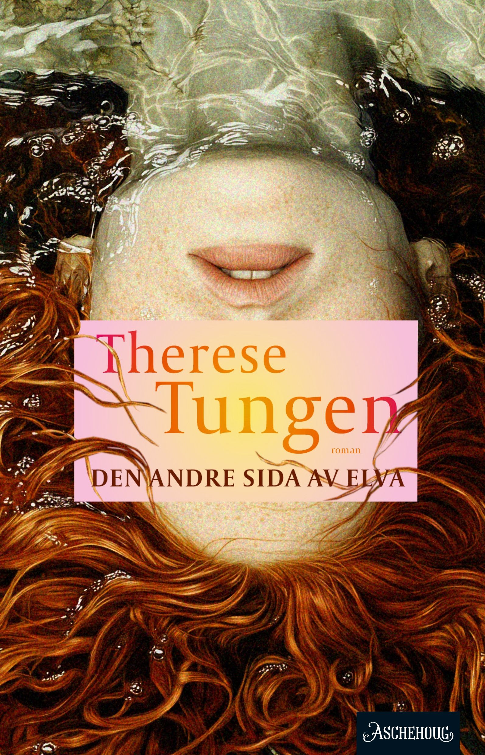 Den andre sida av elva