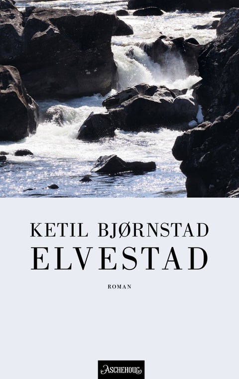 Elvestad - roman