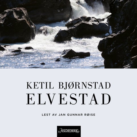 Elvestad - roman