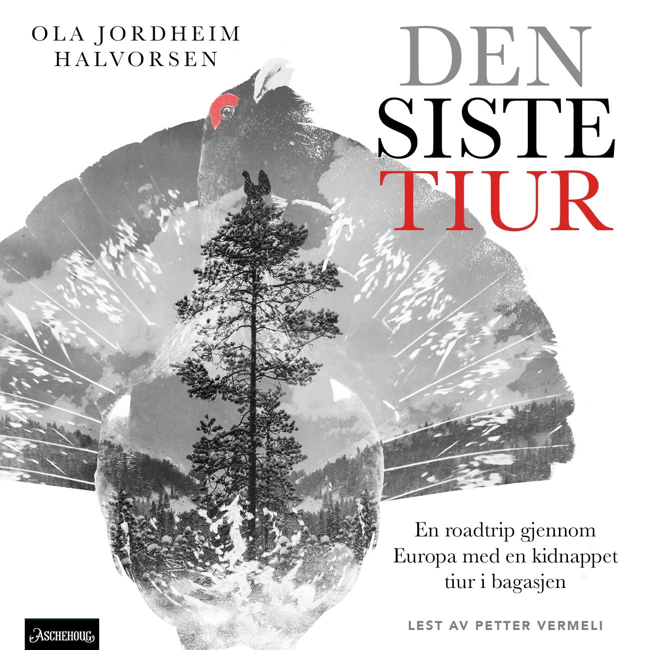 Den siste tiur - en roadtrip gjennom Europa med en tiur i bagasjen