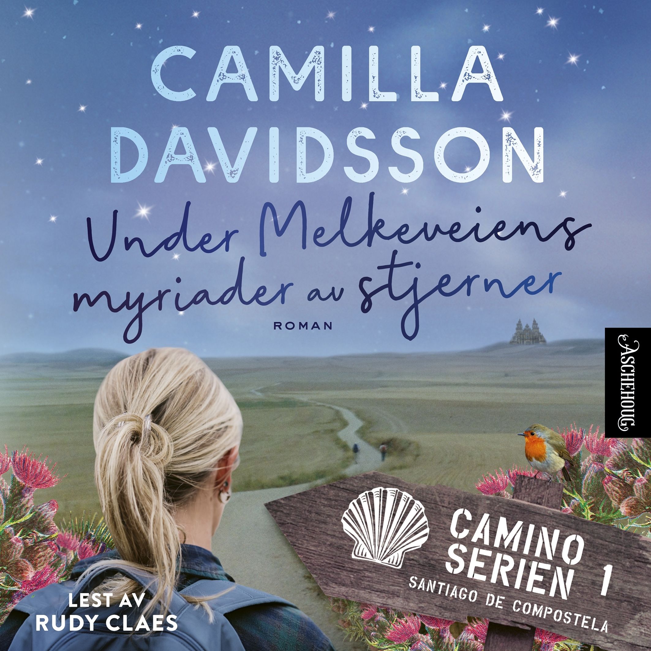 Under Melkeveiens myriader av stjerner