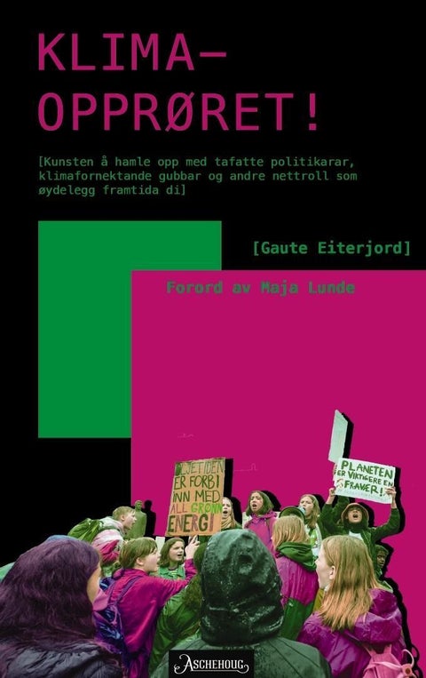 Klimaopprøret - kunsten å hamle opp med tafatte politikarar, klimafornektande gubbar og andre nettroll som øydelegg framtida di