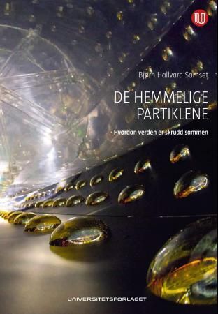 De hemmelige partiklene - hvordan verden er skrudd sammen