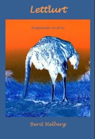 Lettlurt - fragmenter av et liv