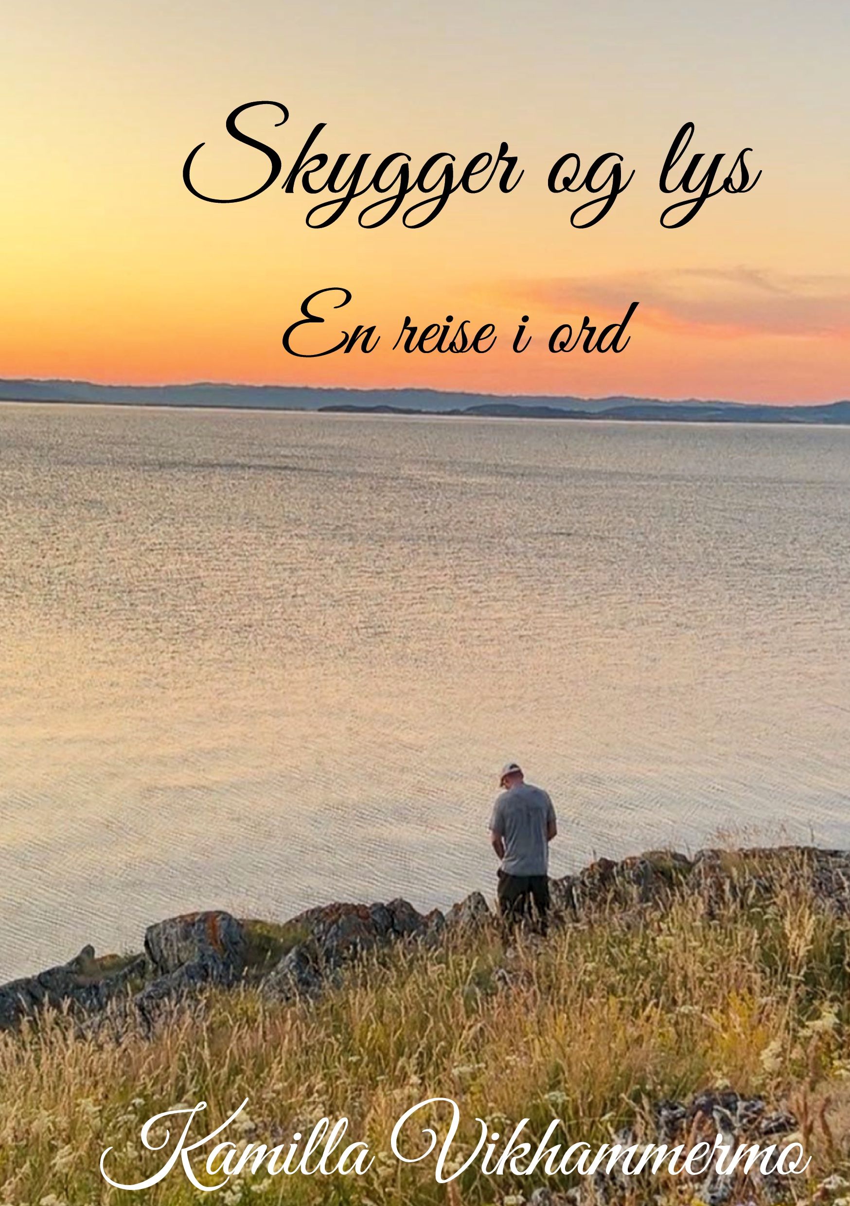 Skygger og lys - en reise i ord