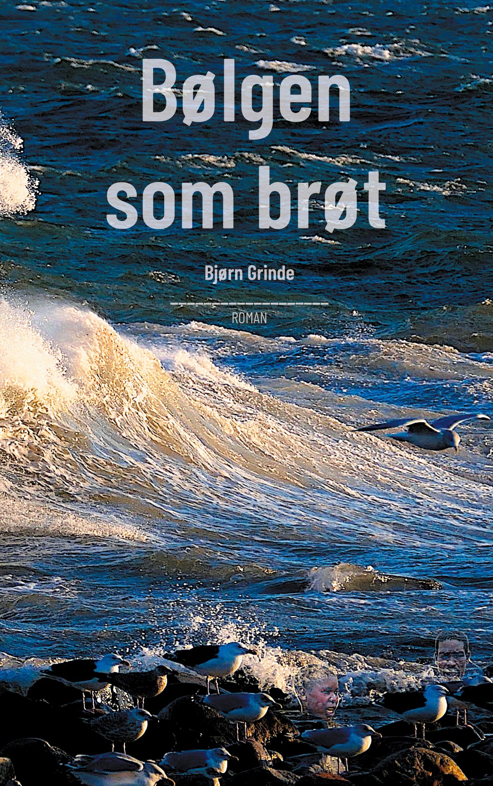 Bølgen som brøt - roman