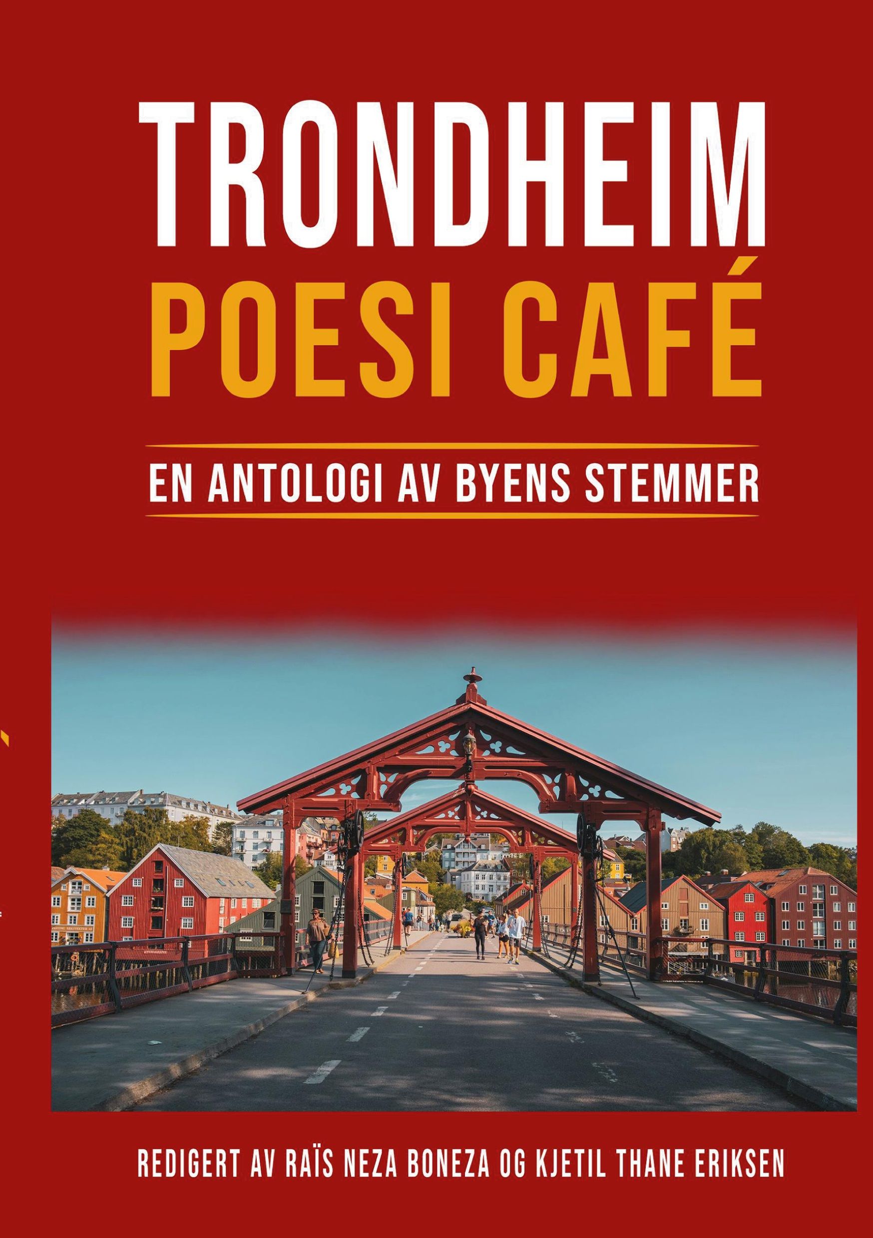 Trondheim poesi café - en antologi av byens stemmer